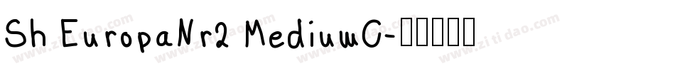 Sh EuropaNr2 MediumC字体转换
